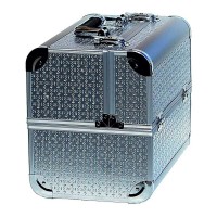 Ч24051 Валіза-кейс сріблястий з декором 740